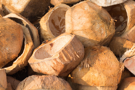 Coconut shell.の写真素材