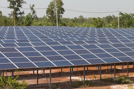 Solar cells in solar farm. Clean energy for generate electric to electrical distribution system.