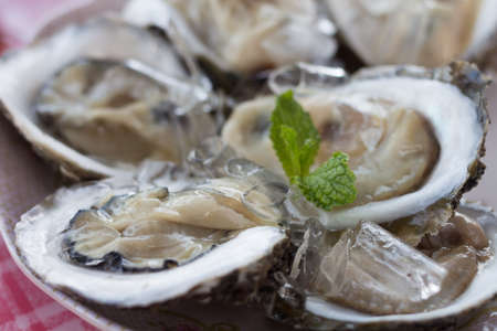 Fresh big oyster on a plate and eat at restaurants along the beach.