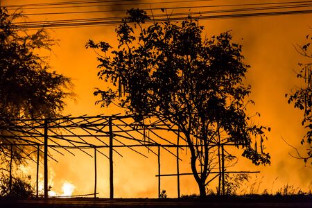 Forest fire beside the highway.の写真素材