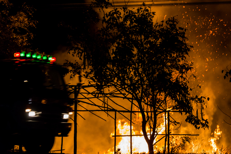 Forest fire beside the highway.の写真素材