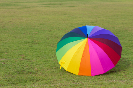 Colorful umbrella on the green grass.の写真素材