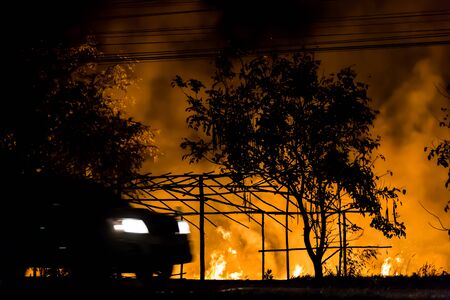 Forest fire beside the highway.の写真素材