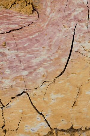 Clay dry in summer background.の写真素材