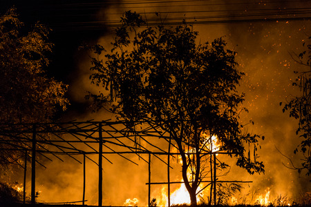 Forest fire beside the highway.の写真素材
