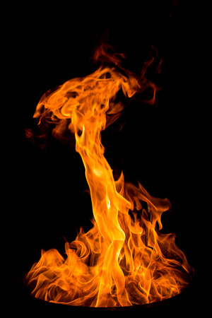 Flame in the containerの写真素材
