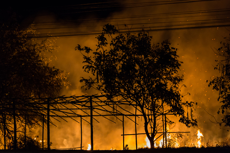 Forest fire beside the highway.の写真素材