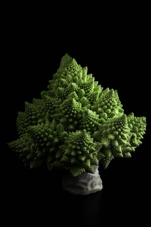 Romanesco cauliflowerの写真素材