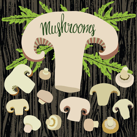 Mushrooms on the dark wood background setのイラスト素材