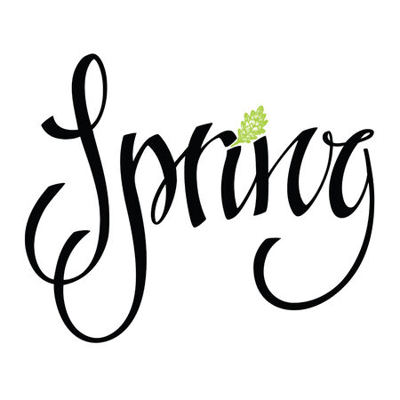 Spring lettering card with green leafのイラスト素材