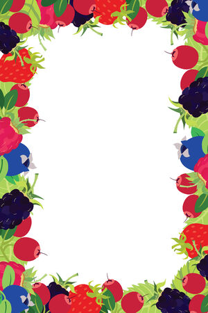 Berry frame Fresh healthy foodのイラスト素材