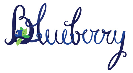 Blueberry lettering Blue color Vector setのイラスト素材