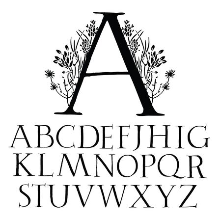 Classical capital font Alphabet with decorationのイラスト素材