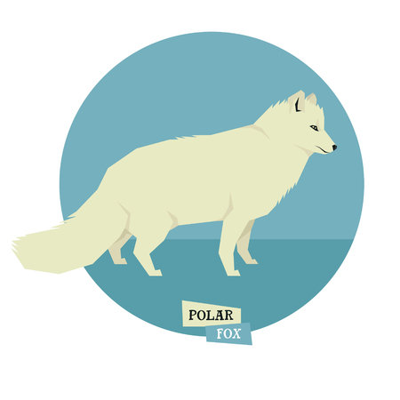 Wild animals collection Polar fox Geometric style setのイラスト素材