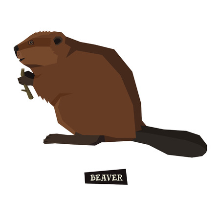 Wild animals collection Beaver Geometric style setのイラスト素材