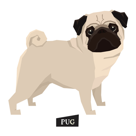 Dog collection Pug Geometric style setのイラスト素材