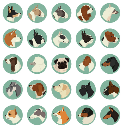 Dog breeds Avatars Vector set of 25 round frames Geometric styleのイラスト素材