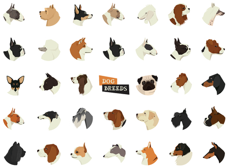 Dog breeds Avatars Isolated icons setのイラスト素材