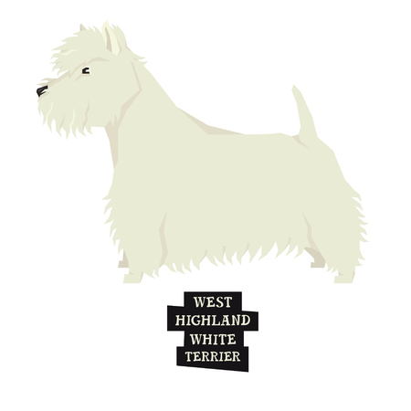 Dog collection West Highland White Terrier Isolated object.のイラスト素材