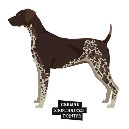 Dog collection German shorthaired pointer Geometric style Isolated object setのイラスト素材