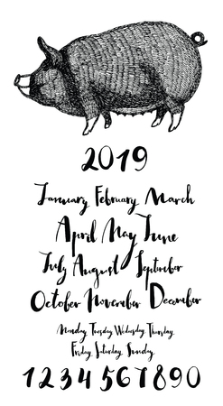 Piggy Months of year 2019 Days of the week Numbers setのイラスト素材