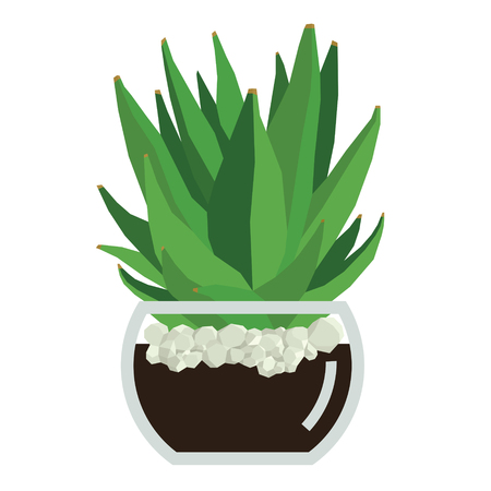Succulent plant in glass pot Vector illustration Isolated object setのイラスト素材