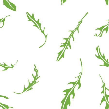 Cooking herbs Arugula Seamless pattern Hand drawingのイラスト素材