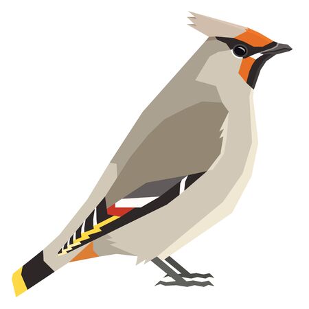 Bohemian waxwing Birds collection Vector illustration Isolated object setのイラスト素材