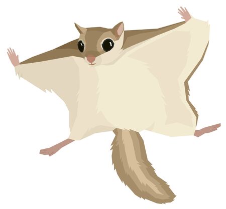 Wild animals Vector illustration of the flying squirrel Isolated object Geometric style setのイラスト素材