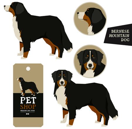 Dog Breeds set Vector illustration Bernese Mountain Dog Isolated objects Poster Pet Shop Design labelのイラスト素材