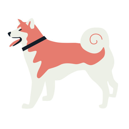 Akita dog Flat vector illustration setのイラスト素材