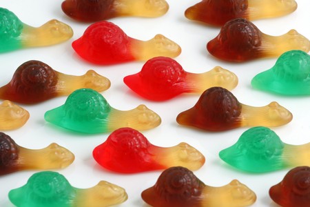 Invasion of colored snails with white backgroundの写真素材