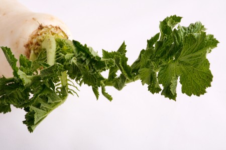 Image series of fresh vegetables on white background - turnip