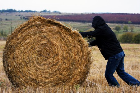 Brief moments in life - wheat fieldの写真素材