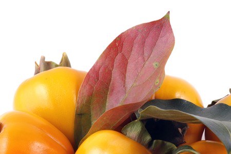 Persimmon on white backgroundの写真素材
