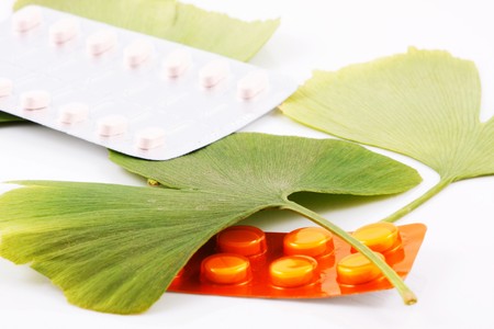 Ginkgo biloba on white backgroundの写真素材