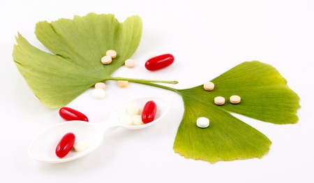 Ginkgo bilobaの写真素材