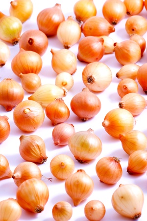 Image series of fresh vegetables on white background - onionの写真素材