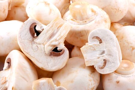 Fresh mushroomの写真素材