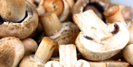 An edible mushroom, especially the much cultivated species Agaricus bisporusの写真素材