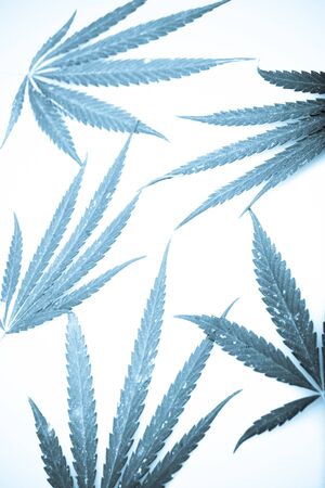 Marijuana.の写真素材