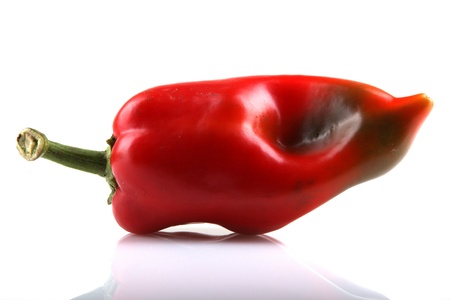 Red chilli peppers on white background.の写真素材