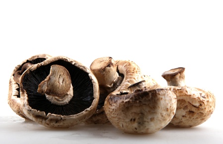 mushroom champignons.の写真素材