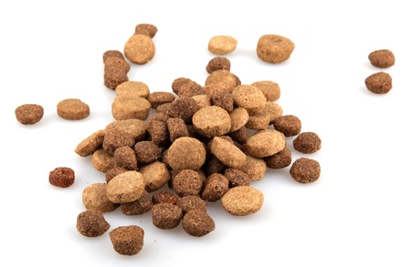 dry dog food isolated on white.