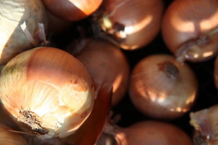 Vegetables and Fruits Arrangement.の写真素材
