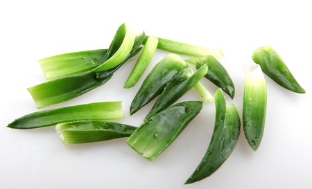 aloe veraの写真素材