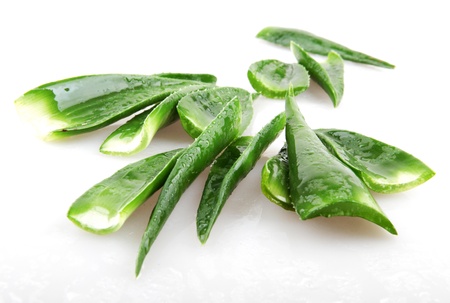 Aloe vera plant isolated on white.の写真素材