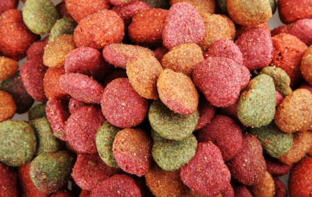 petfoodの写真素材