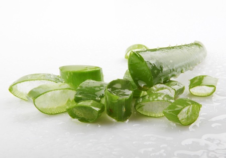 aloe isolated on whiteの写真素材