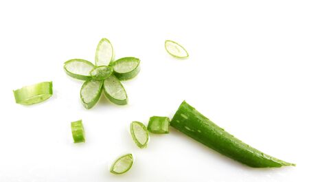 aloe isolated on whiteの写真素材